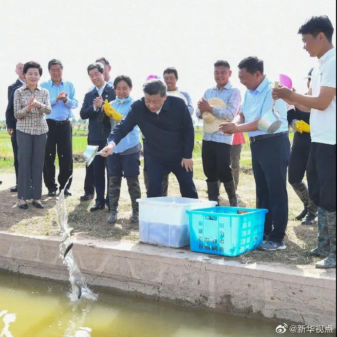 玻璃連棟溫室