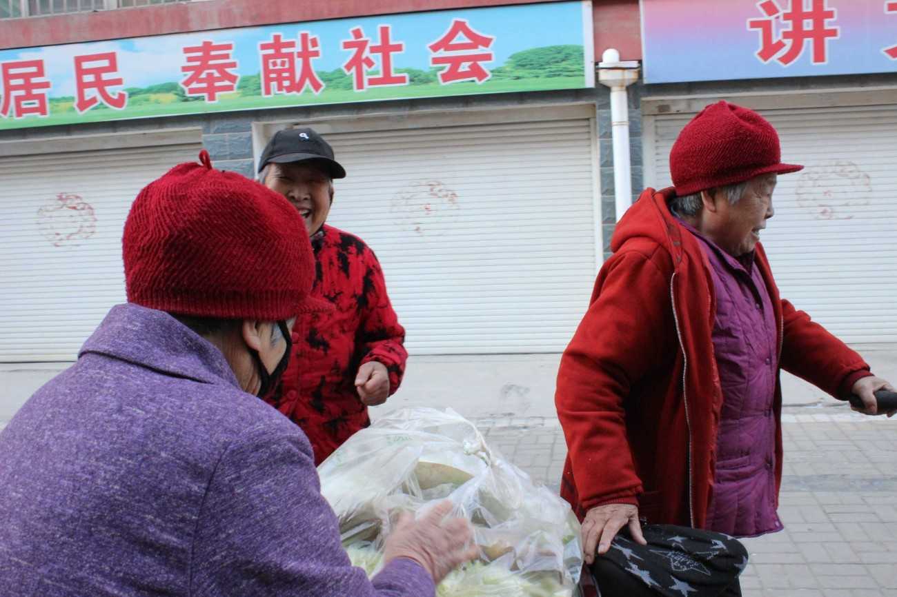 玻璃連棟溫室