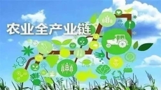 我國(guó)現(xiàn)代農(nóng)業(yè)產(chǎn)業(yè)園發(fā)展歷程及未來(lái)趨勢(shì)