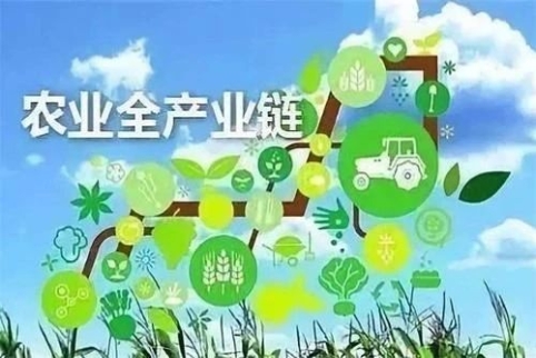 植物信息