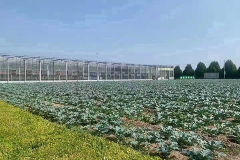 植物信息